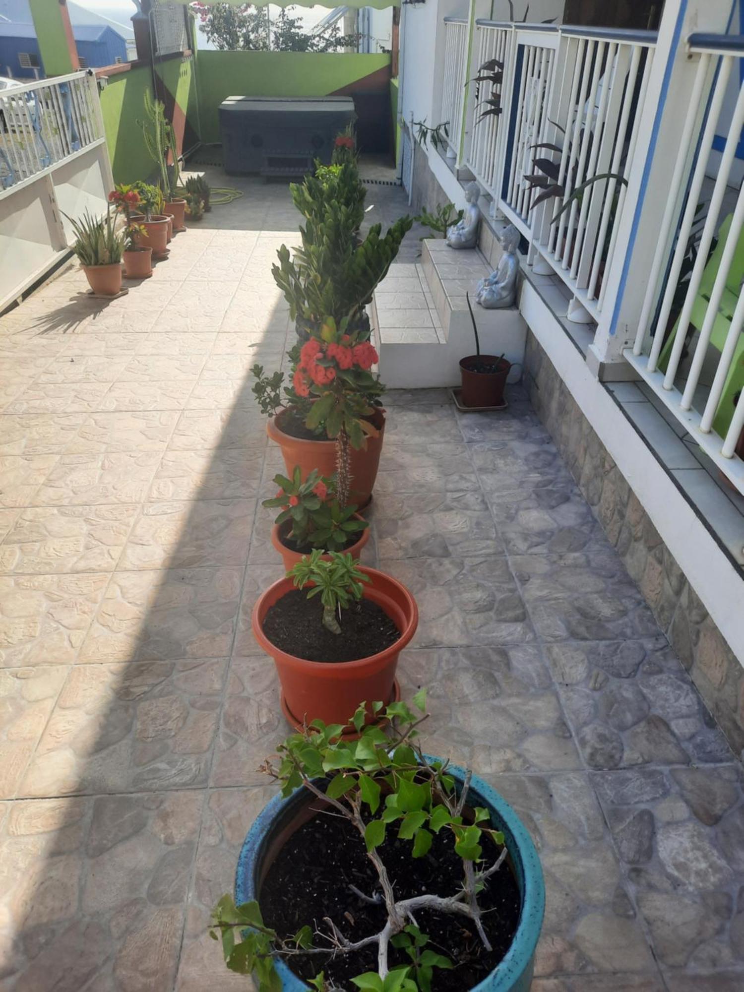La Casa Binecha Avec Jacuzzi Villa Baillif Buitenkant foto